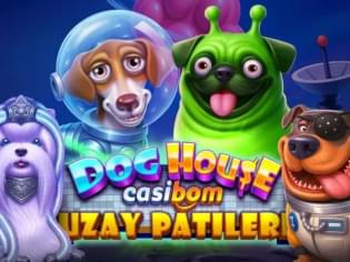 dog house casibom uzay patileri